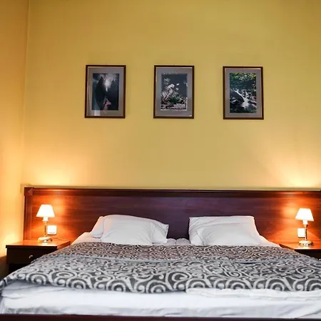 Hotel Zoloto Karpat Stryi