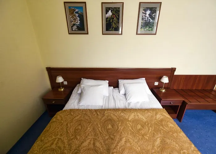 Hotel Zoloto Karpat 3*