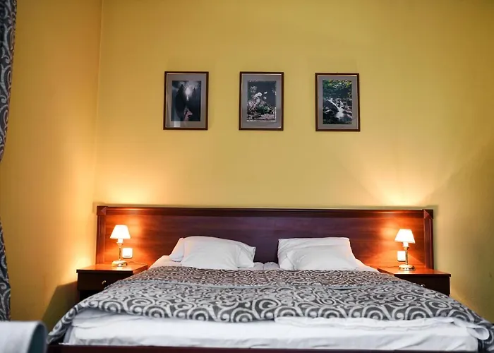 Hotel Zoloto Karpat Stryi