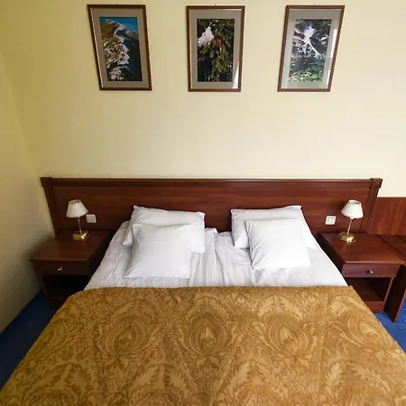 Hotel Zoloto Karpat 3*